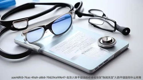 干細(xì)胞 生命的“種子”——北京科研前沿與人體健康應(yīng)用解析